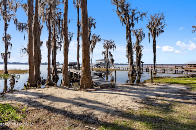 dock area featuring a water view