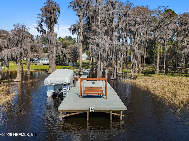 dock area with a water view