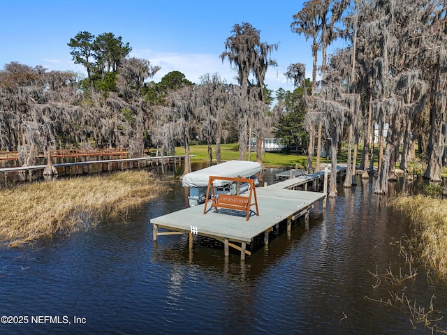 dock area with a water view