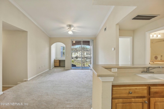 kitchen featuring light colored carpet, ceiling fan, crown molding, and sink