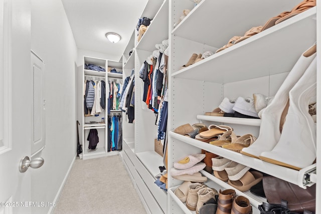 walk in closet featuring light colored carpet