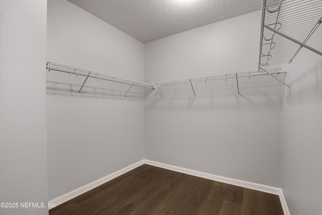 walk in closet with wood-type flooring