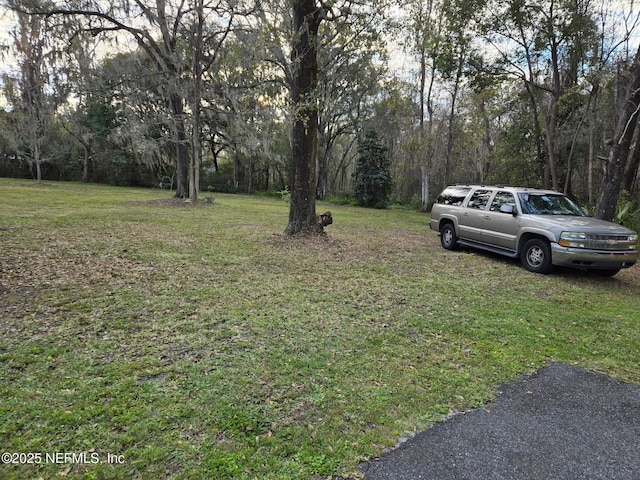 5334 Walser Rd, Jacksonville, FL 32254 - photo 6