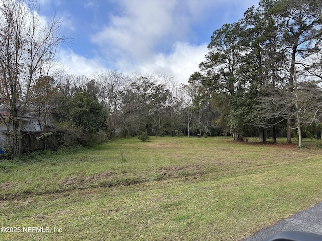 5334 Walser Rd, Jacksonville, FL 32254 - photo 11
