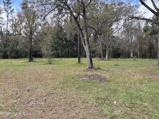 5334 Walser Rd, Jacksonville, FL 32254 - photo 13