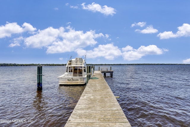 dock area featuring a water view