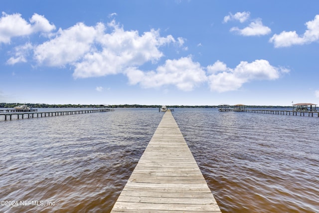 dock area featuring a water view