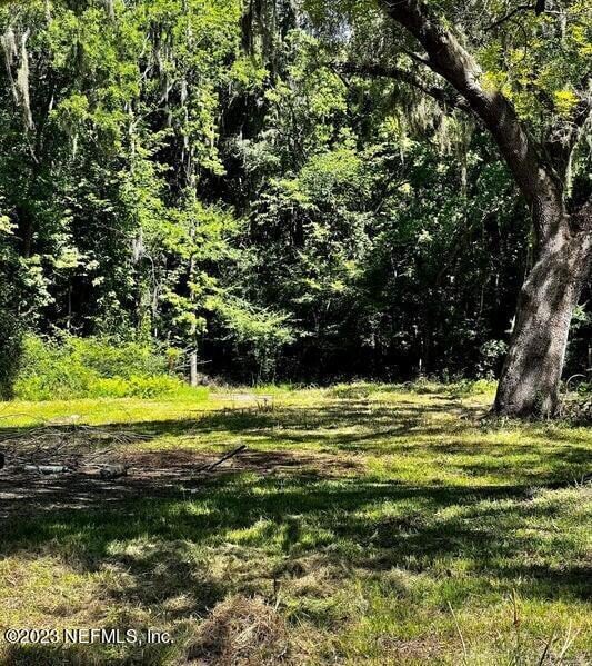 5545 Shannon Ave, Jacksonville, FL 32254 - photo 5