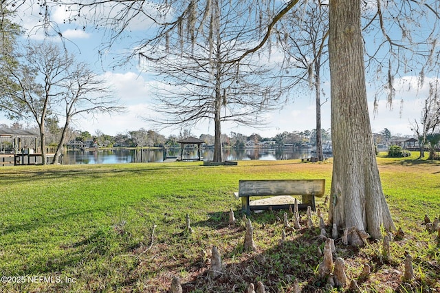 view of community with a water view and a yard