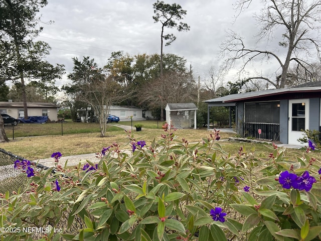 view of yard featuring a shed