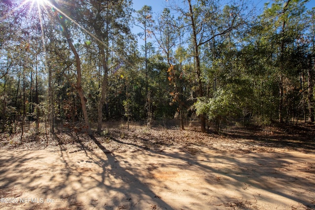 109 Gator Trl, Melrose FL, 32666 land for sale