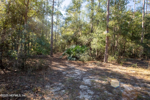 Listing photo 2 for 109 Gator Trl, Melrose FL 32666