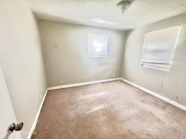 spare room featuring plenty of natural light and carpet floors