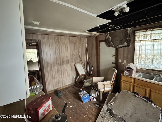 misc room featuring wood walls and sink