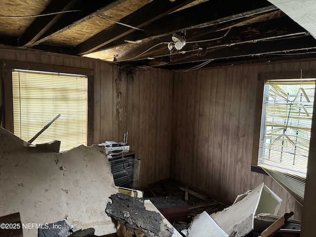 miscellaneous room with wooden walls