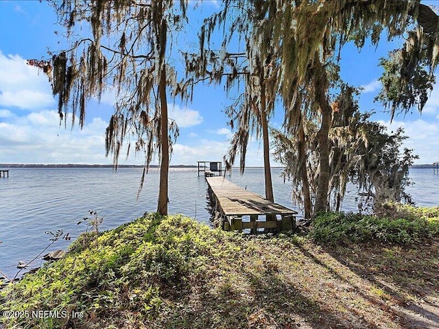 dock area with a water view