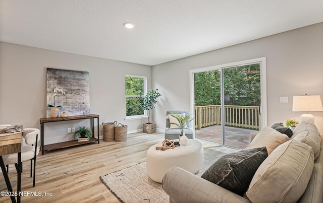 living room with light hardwood / wood-style flooring