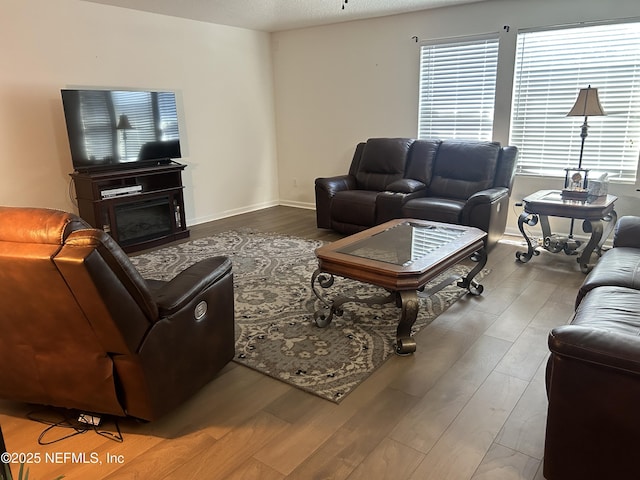 living room featuring hardwood / wood-style flooring