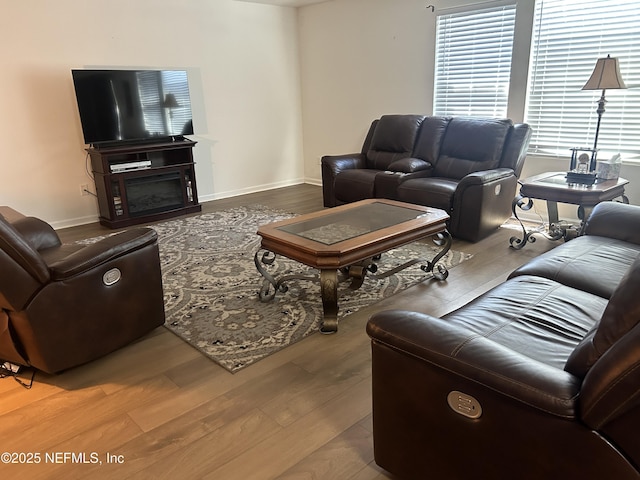 living room with wood-type flooring