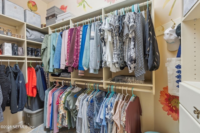 view of spacious closet