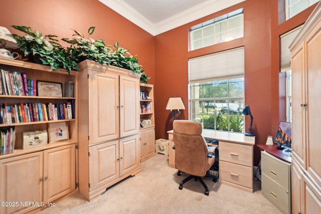 carpeted home office with crown molding