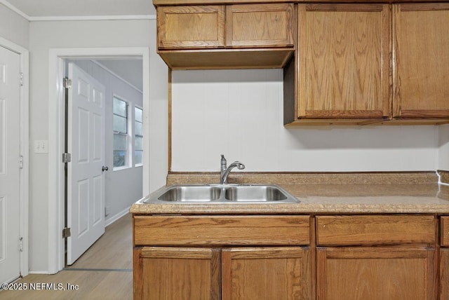 kitchen with light hardwood / wood-style floors and sink