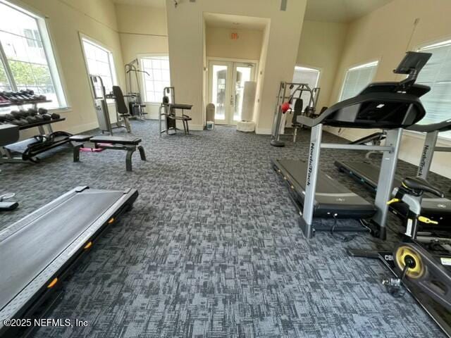 8290 Gate Pkwy W Unit 165, Jacksonville, FL 32216 - exercise room featuring baseboards, carpet floors, and french doors