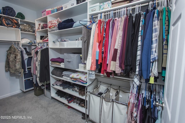 walk in closet with carpet flooring