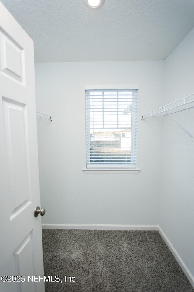 spacious closet with carpet flooring