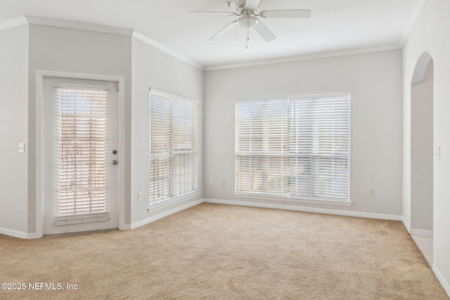 spare room featuring ceiling fan, light colored carpet, and ornamental molding