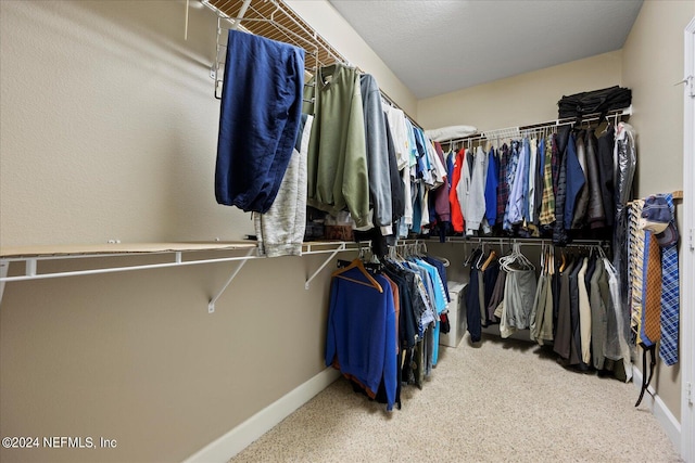 spacious closet featuring carpet