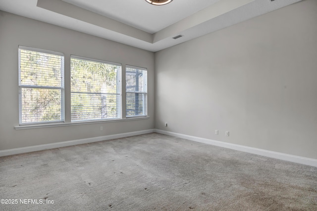 carpeted empty room featuring a wealth of natural light and a raised ceiling