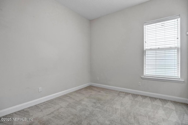 spare room featuring plenty of natural light and light carpet