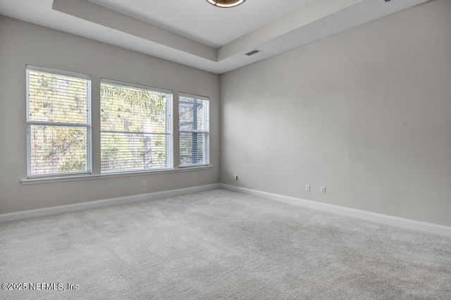 empty room featuring a raised ceiling and light colored carpet