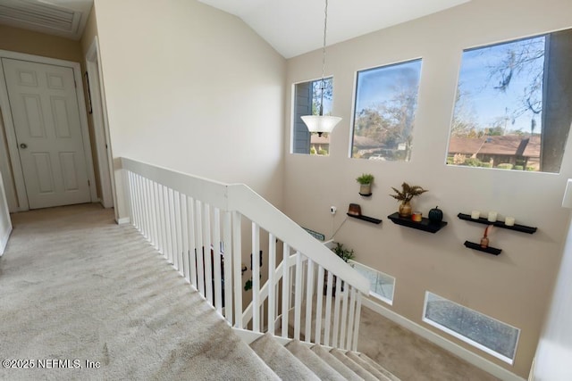 stairs featuring lofted ceiling and carpet floors