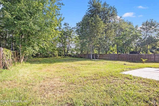 view of yard with a patio