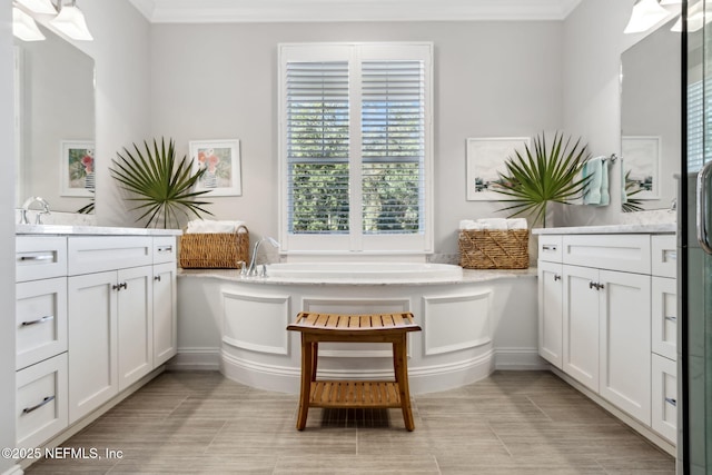 bathroom featuring vanity and a tub to relax in