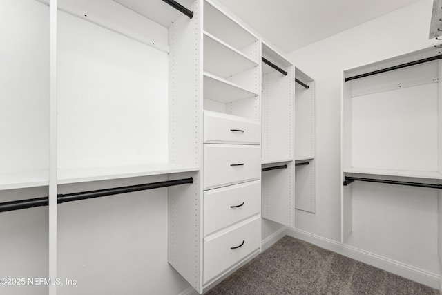 walk in closet featuring carpet floors