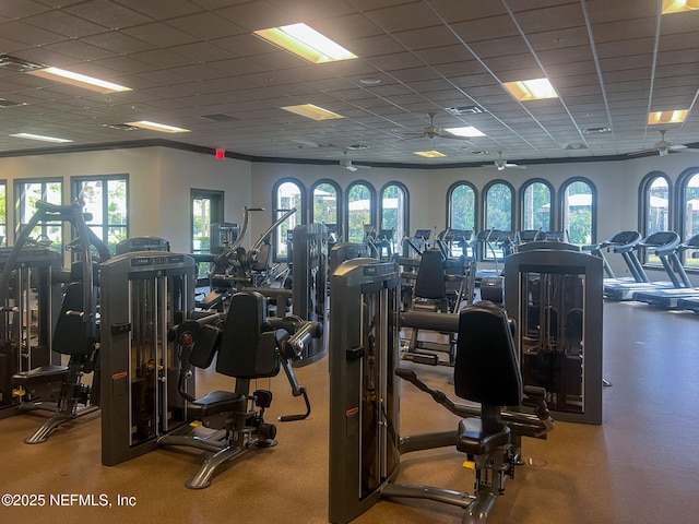 gym featuring ceiling fan, a paneled ceiling, and a wealth of natural light