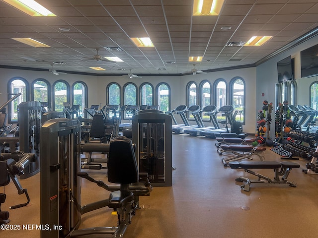 gym with a paneled ceiling and ceiling fan