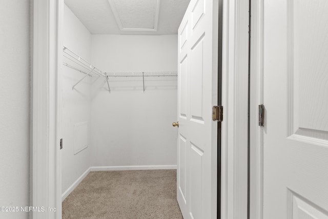 spacious closet featuring light carpet