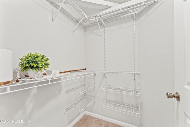 8550 Touchton Rd Unit 127, Jacksonville, FL 32216 - spacious closet with carpet floors