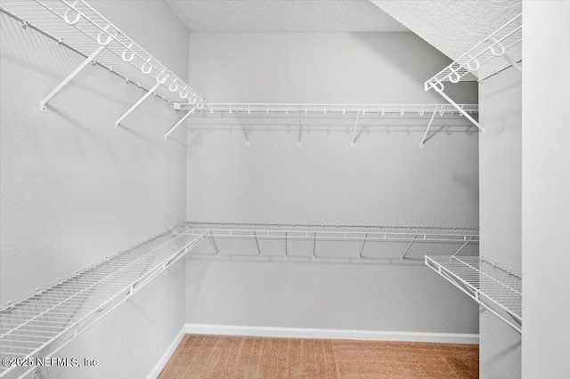 spacious closet with carpet