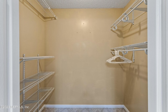 14 Ballard Ave, Saint Augustine, FL 32084 - spacious closet featuring carpet