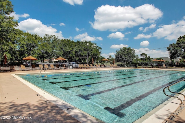 view of swimming pool