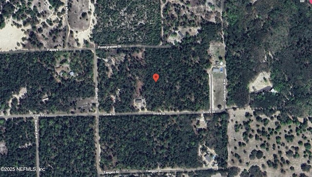 Listing photo 3 for 0 Grove, Welaka FL 32193