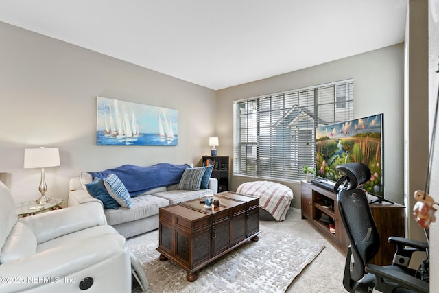 living room featuring light colored carpet