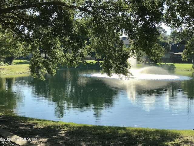 view of water feature