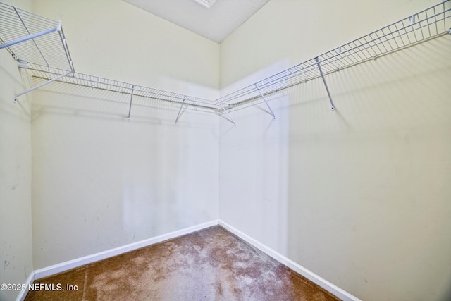 spacious closet with carpet floors