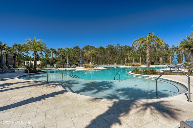 view of swimming pool with a patio